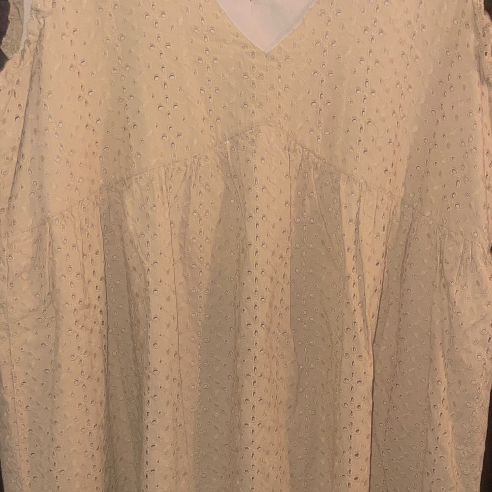 #53 Universal Thread Tan Eyelet Ruffle Dress - Picture 4 of 4